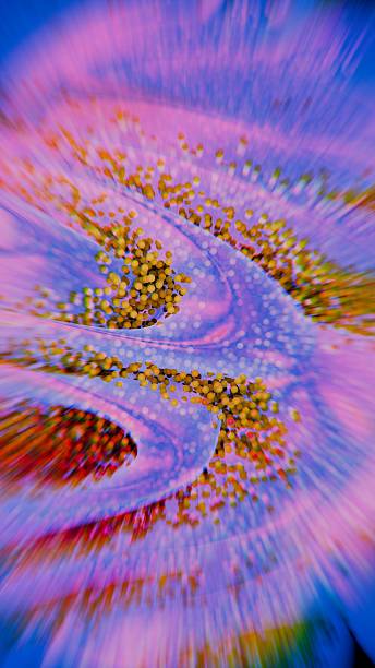 istock Abstract Colorful Swirl with Dots 2237827713
