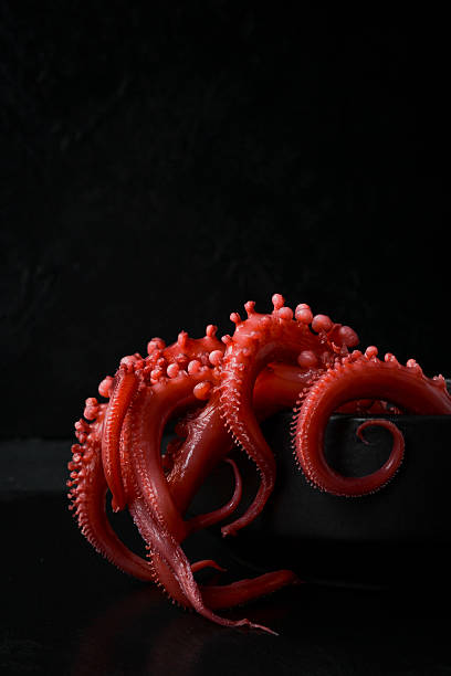 istock Boiled octopus tentacles in a black stone bowl, side view, close-up. On a black slate background. 2237829904