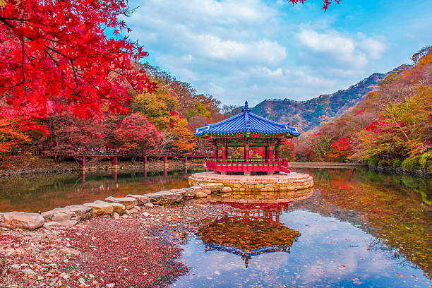 istock Beauty of autumn. 2237832072