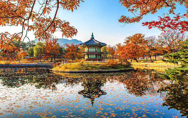 istock Beauty of autumn. 2237832096
