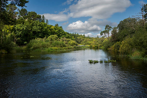 The River Cong and the forest of Cong near the locality of Cong, Ireland, with calm waters reflecting the overcast sky and dense, lush greenery on both sides