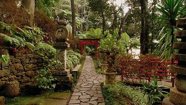 istock Japanese garden path with mossy stone lanterns, red torii gate, 2237835155