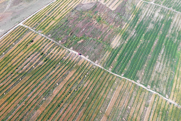istock Aerial footage of wheat fields 2237836006