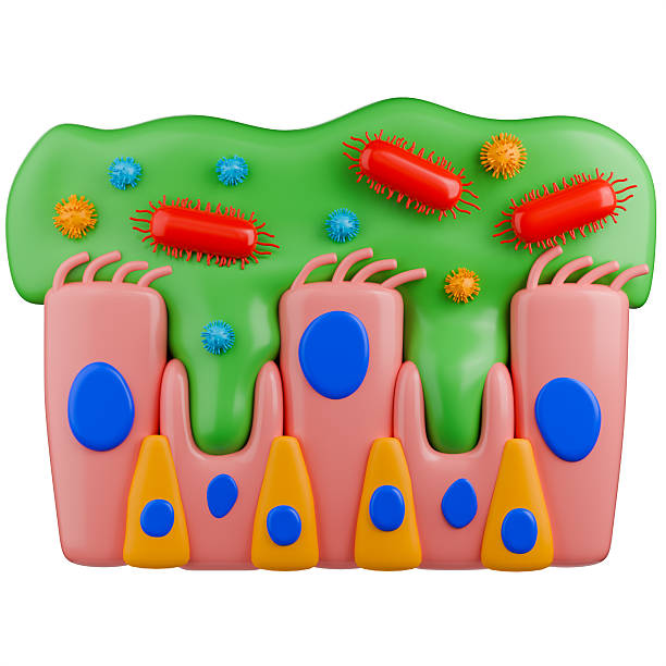 istock Infected nasal mucous membrane 3d illustration. 2237841145