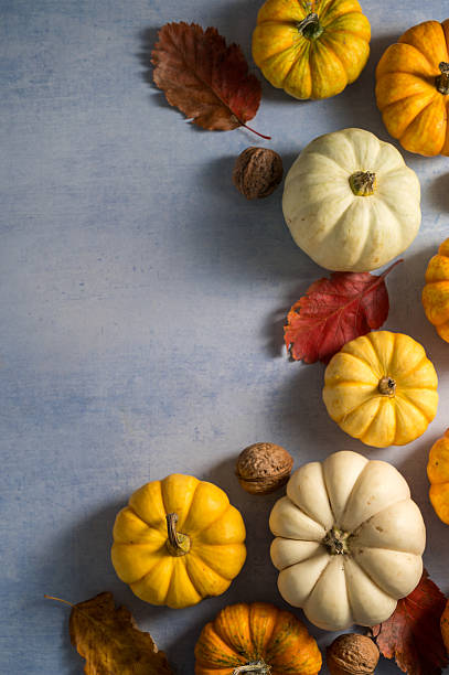istock Autumn pumpkins background. Orange and white mini squashes in a basket. 2237841759