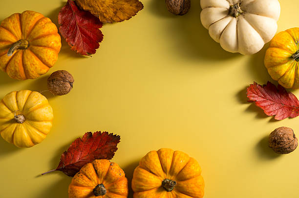 istock Autumn pumpkins background. Orange and white mini squashes in a basket. 2237842261