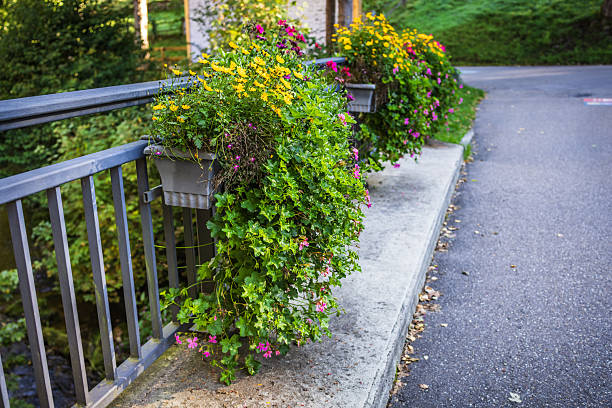 Soft focus mix fresh flowers multicolors blooming in white gray cement pot put on floor with background  garden and blur street, idea gardening for summer concept.