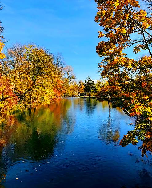istock Golden autumn on the Limmat River in WerdInsel 2237848715
