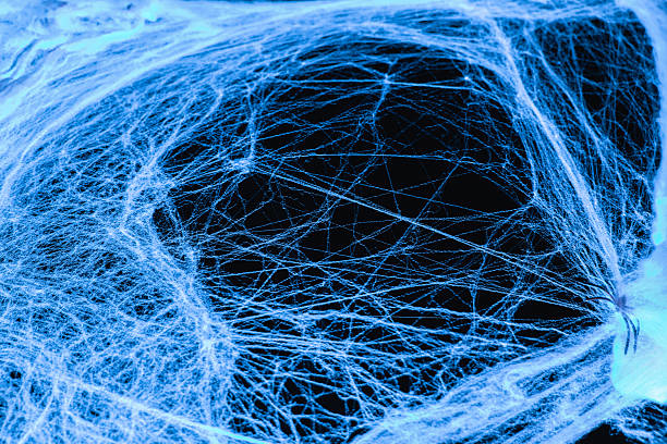Halloween mockup.Spooky Spiderwebs for Halloween.Blue Cobweb on Black Background.