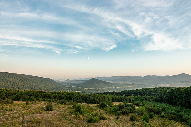 istock View on Carpathians Mountains Valley in Cloudy Summer Day with Fir Tree on Foreground 2237858328