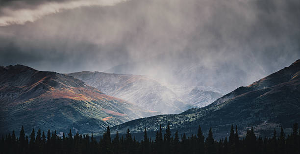 Alaska Range Autumn Panorama. Majestic Mountains in the Alaska Range at Mount Hayes, displaying autumn colors under a dramatic stormy sky with rain showers over dense forest. Southeast Fairbanks, Mount Hayes, Alaska Range, Alaska, USA, North America
