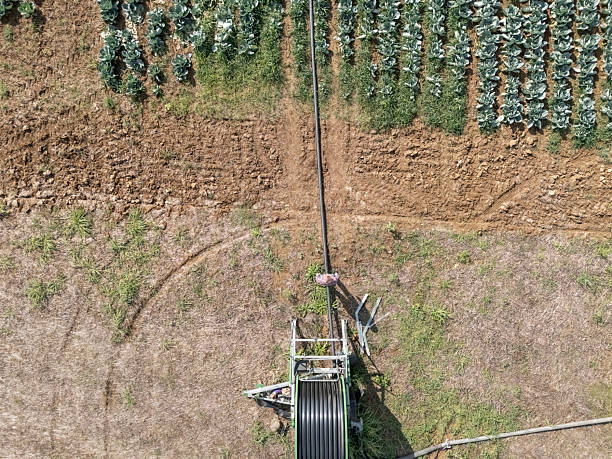 Close-up Of Air Valve With Tubular Algae Bioreactors To Produce Biofuel As An Alternative Fuel