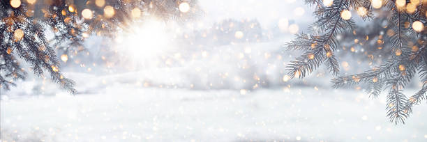 istock Blurred winter and christmas background_003 2237863823