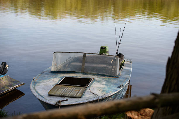 a small, green boat with an oar, partly in the water and partly in the grass on the shore.