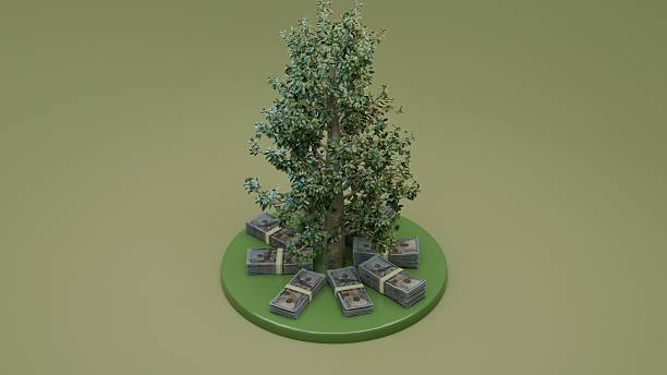 istock Tree with cash bundles on beige background symbolizing prosperity growth 2237865612