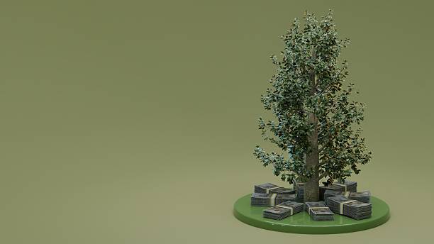 istock Tree with money piles on beige surface wealth and financial growth 2237865689