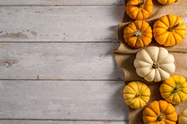 Autumn pumpkins squashes. Thanksgiving day or Halloween concept. Autumn background