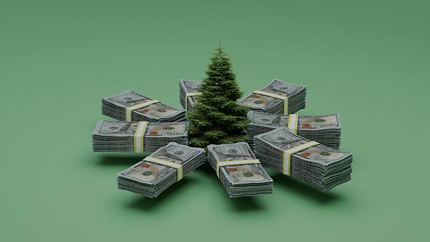 istock Small money tree with dollar bundles on green background investment idea 2237866073