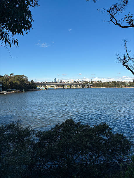 istock Sydney view from the bay 2237870981