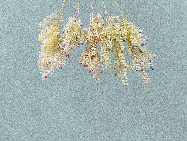 The green background in the picture is a white flower branch with small red, pink and blue fruits at the tips used as decoration in bouquets in a colorful dried flower shop.