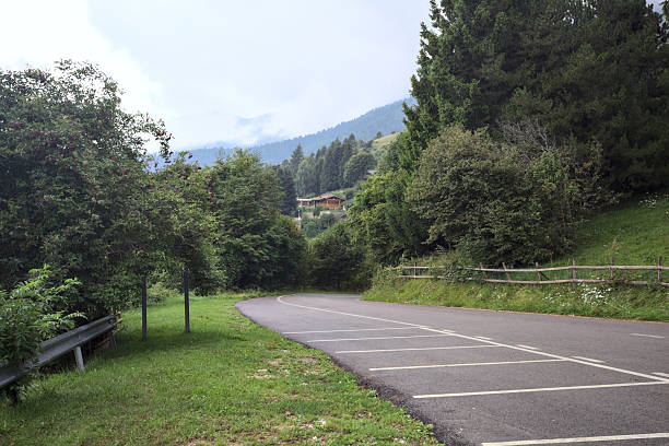 Descending mountain road on a light rain day bordered by trees of a forest