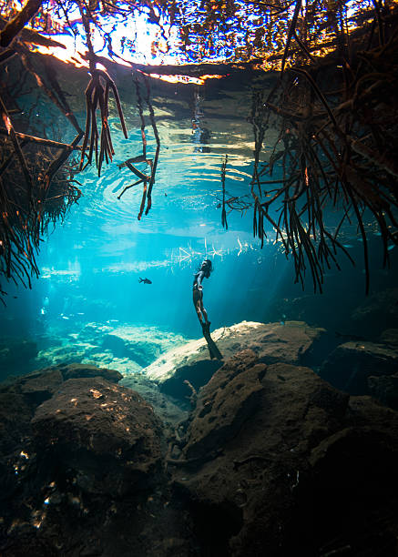 istock Bewteen the Mangroves 2237881925