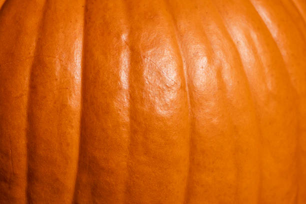 istock Captivating vibrant orange pumpkin skin texture reveals natural ribbed patterns, perfect for autumn harvest, festive seasonal celebrations like Halloween and Thanksgiving 2237883224