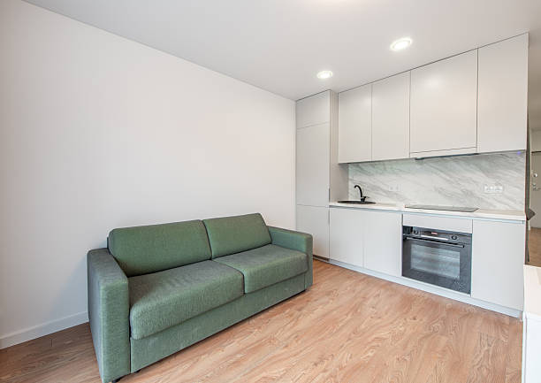 istock Modern Home Studio Apartment with Green Sofa and White Cabinetry. Kitchen 2237891810