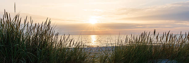 istock Beautiful sunset behind grass-covered dunes by the baltic sea 2237894194