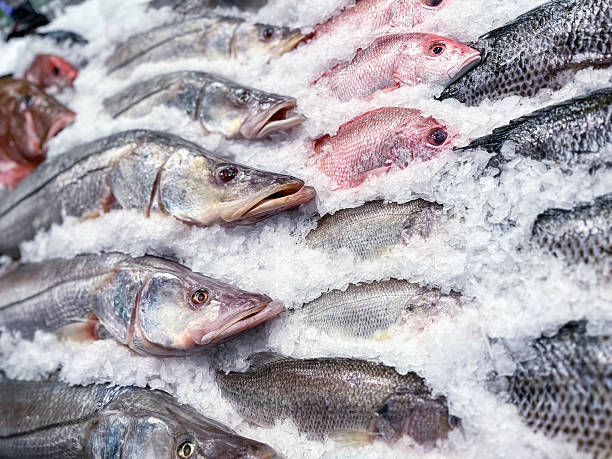 istock Fresh fish on ice at seafood market 2237896801