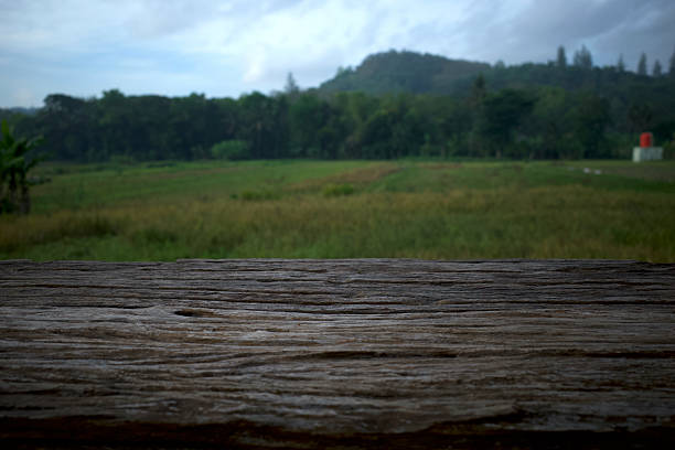 Old wood empty table for product display in front of rice field bokeh abstract background.