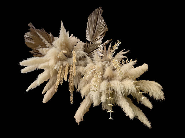 Boho pampas grass rustic wedding backdrop, bohemian  backdrop design with dry palm leaves,  pampas grass flowers and natural ornaments on black background