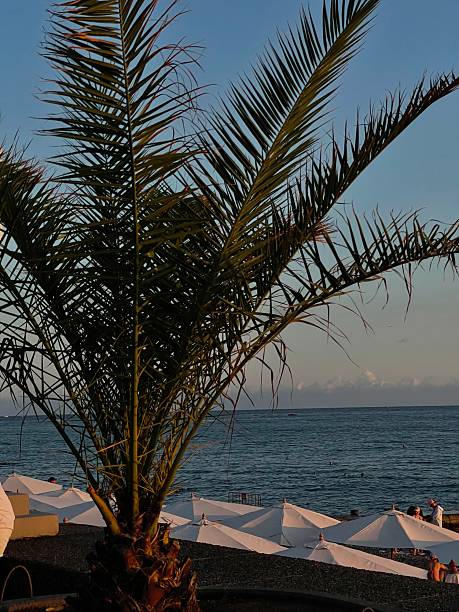 istock Wonderful beach atmosphere, sunset  Soon. 2237906602