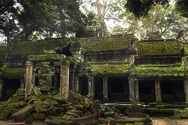 The ancient carving at the walls of the Ta Prohm temple ruins, Angkor Wat complex, Siem Reap, Cambodia, Khmer architecture