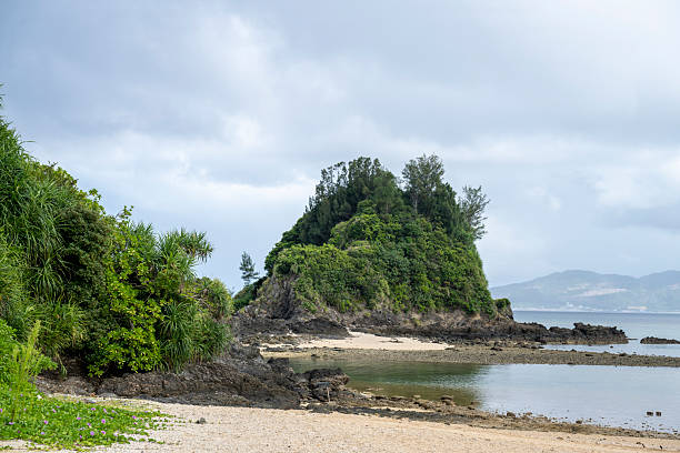 Beach, sea and coastline, Onna, Okinawa