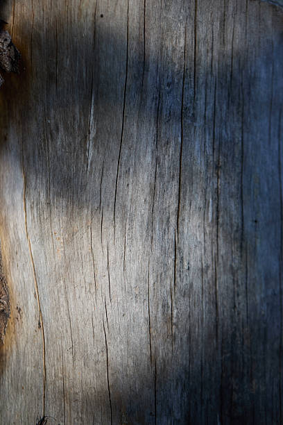 Weathered Wood Texture Close-Up: A Rustic, Cracked Grain Surface With Gray and Blue Tones for Natural Backgrounds and Design Projects