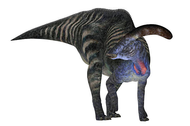 istock Parasaurolophus Dinosaur Standing 2237926477