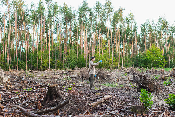 istock Ecologist takes soil samples in forest. Soil in test tube 2237932302