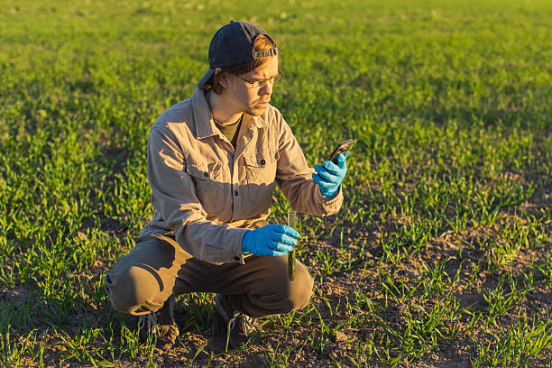 istock Agronomist takes soil samples from field in test tube. Soil analysis 2237933320