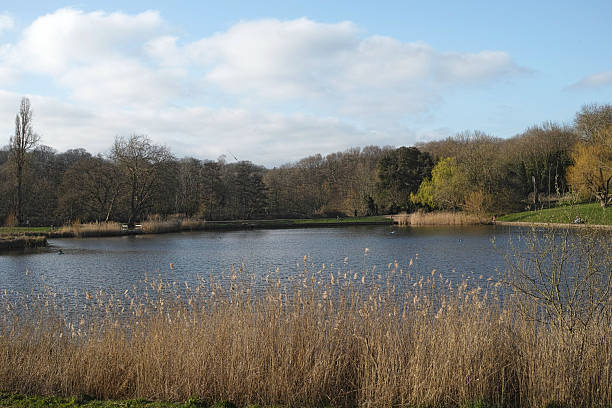 istock Model Boating Pond in the Hampstead Heath 2237938606