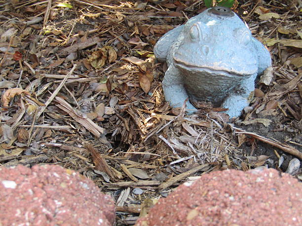 Frog sprinkler in a garden. The teal ceramic frog sprinkler sits on a bed of mulch, next to a brick garden divider. The mulch is light brown, in the brick is red.