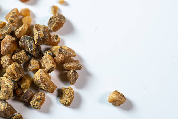 Nestled against a pristine white background, these studio shots capture the essence of traditional Chinese herbal decoction pieces. Each photograph highlights the unique texture, rich color, and natural form of ingredients. The clean, clinical aesthetic emphasizes purity and potency, making these images ideal for modern wellness brands, educational materials, and product packaging.