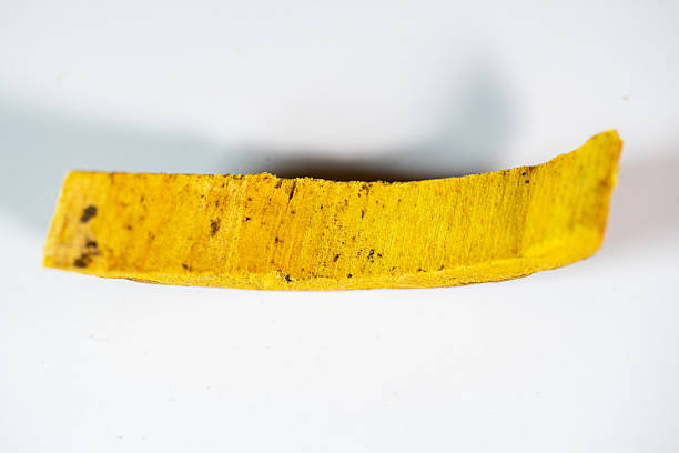 Nestled against a pristine white background, these studio shots capture the essence of traditional Chinese herbal decoction pieces. Each photograph highlights the unique texture, rich color, and natural form of ingredients. The clean, clinical aesthetic emphasizes purity and potency, making these images ideal for modern wellness brands, educational materials, and product packaging.
