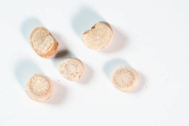 Nestled against a pristine white background, these studio shots capture the essence of traditional Chinese herbal decoction pieces. Each photograph highlights the unique texture, rich color, and natural form of ingredients. The clean, clinical aesthetic emphasizes purity and potency, making these images ideal for modern wellness brands, educational materials, and product packaging.