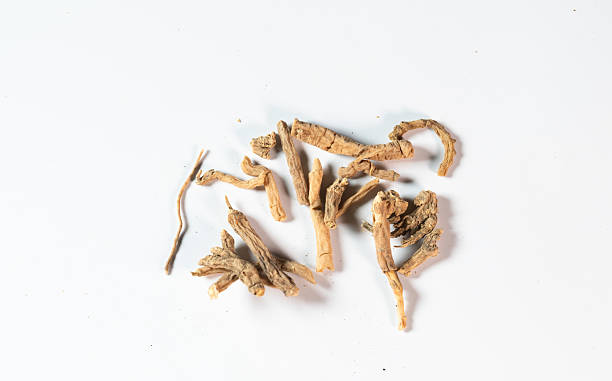 istock chinese medicine on white background:polygala tenuifolia root 2237942330