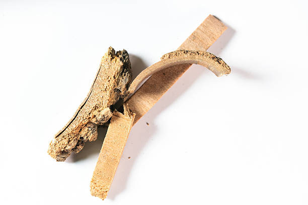 A small glass bottle filled with organic cinnamon ( Cinnamomum verum) or dalchini is placed on a marble background.