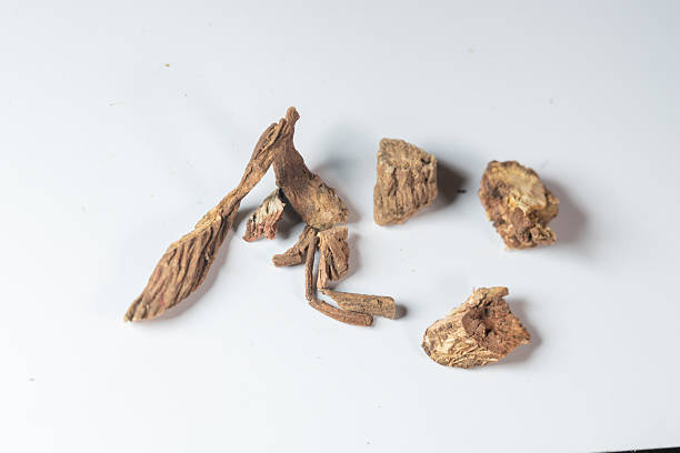 istock chinese medicine on white background:radix dipsaci 2237943108