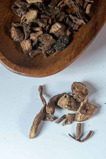 istock chinese medicine on white background:radix dipsaci 2237943147