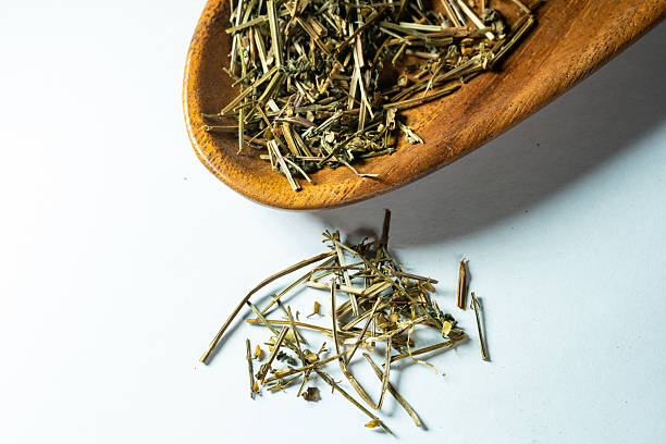 istock chinese medicine on white background:Sculellaria barbata 2237944650