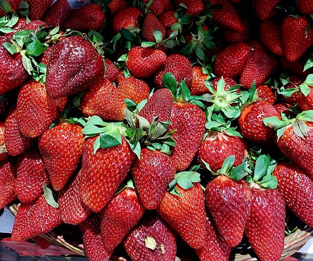 Juicy large red strawberries in a box